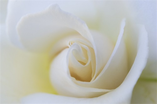 2024猪年新生儿取名大全（2024猪年宝宝起名大全）