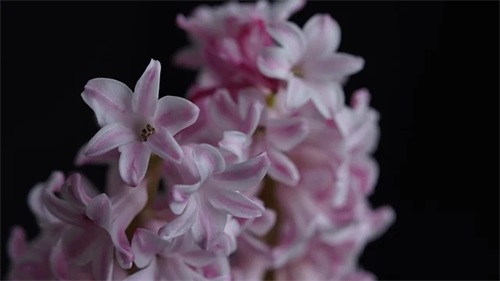 2024年生的宝宝取哪些名字好（2024属牛取名带什么字好）