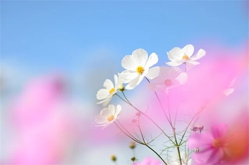 网名微信昵称带断的