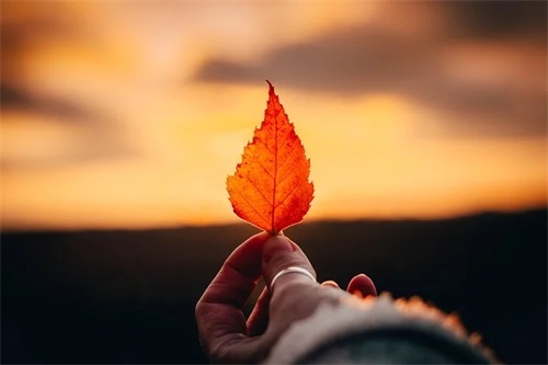 带巧微信图像的网名