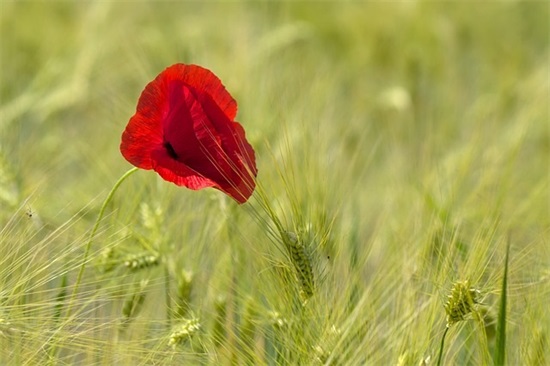 男士有涵养的微信名(共127个)