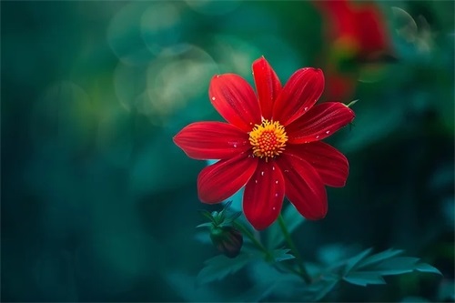 微信昵称带迷糊的网名