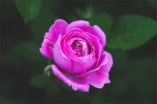 劳务公司名称大全简单大气