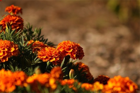 雅而不俗的微信名(129个)