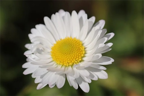 取一个建材公司的名字 寓意吉利旺运企业名