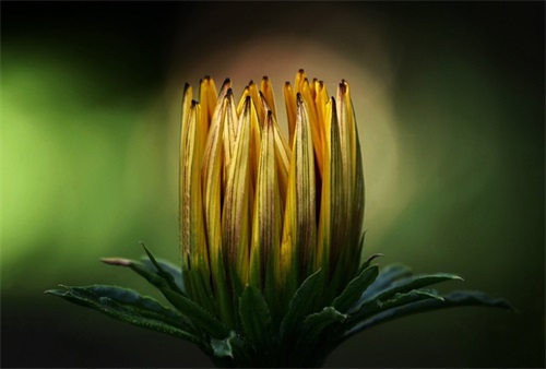 种植家庭农场名字大全 独特好听公司名字