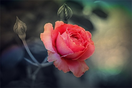 汽车公司名称大全集最新