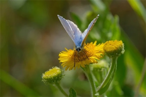 大气有内涵的公司名字