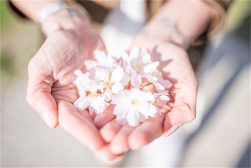 机械公司取名字大全免费 好听寓意好的机械公司名字