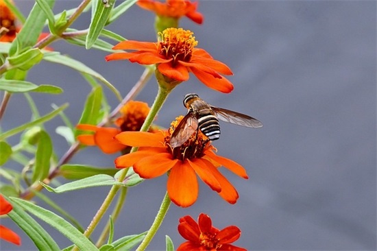 五个字有深度的男生微信网名(110个)