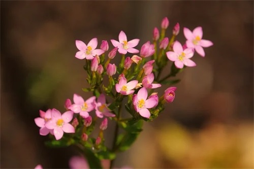 公司起名吉利聚财的字 好听有新意企业名