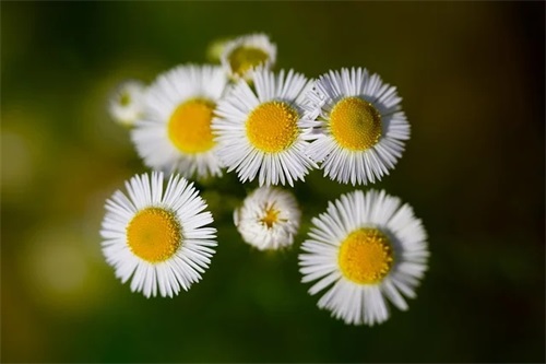 关于早上好朋友圈文案 早上吸引朋友圈的句子