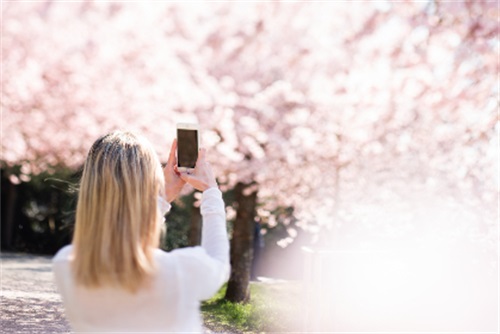 关于夕阳西下的唯美句子 夕阳句子唯美长句