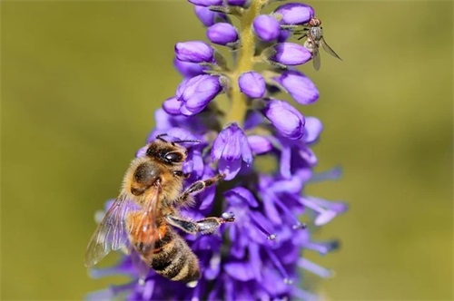 关于早安正能量简单一句话