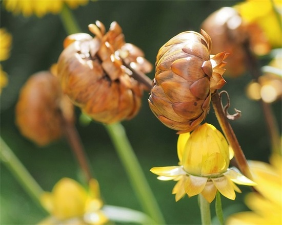 有深度有涵养的微信名(精选121个)