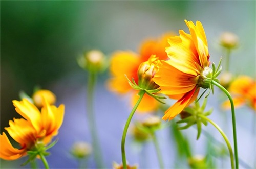 关于五一劳动节企业放假祝福短信