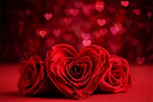 关于父亲节祝福语高端简洁2024年文案