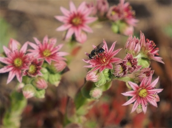 微信昵称女生简短好听(精选161个)