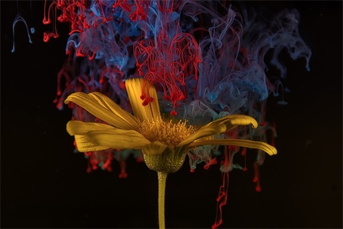 关于劳动节朋友圈祝福语简短一句话