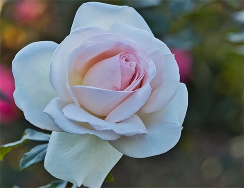 关于晚安说说朋友圈正能量 每日一句晚安心语正能量