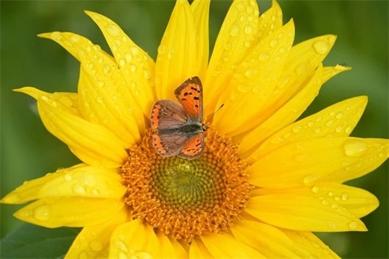 孤单寂寞的男人微信名字(共112个)