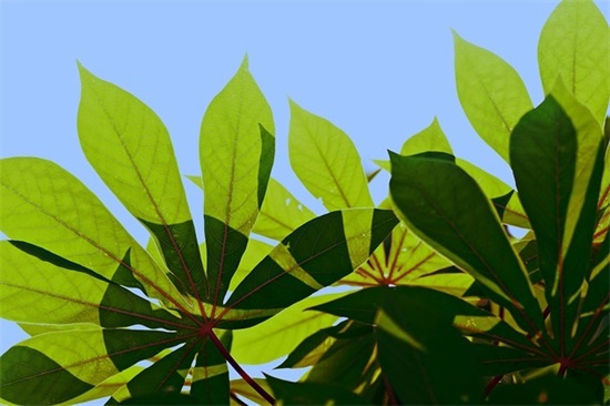 男生伤感微信网名(精选105个)