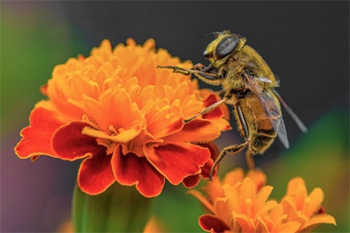 吴姓宝宝名字大全（吴姓男宝宝起名禁忌）