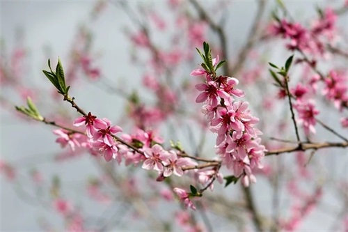 国风雅韵的男宝宝名字大全（精选国风雅韵的男宝宝名字）