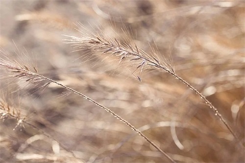 2024年男宝宝大方阳光的好名字大全（精选2024年男宝宝大方阳光的好名字）