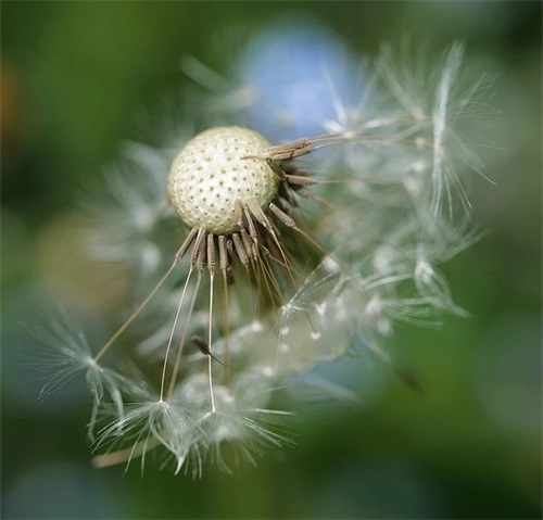 回味无穷的女宝宝名字大全（精选回味无穷的女宝宝名字）