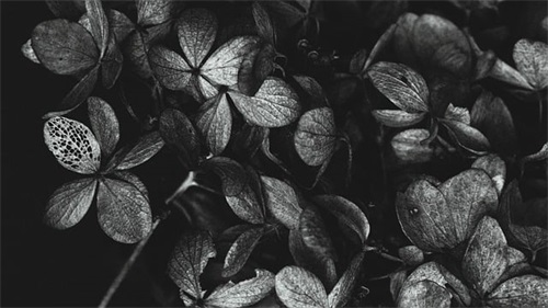 姓翟的名字该怎么取（翟姓男宝宝名字大全）