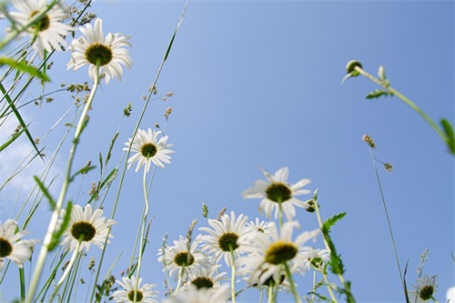 2024年女宝宝聪明睿智美好的名字大全（精选2024年女宝宝聪明睿智美好的名字）