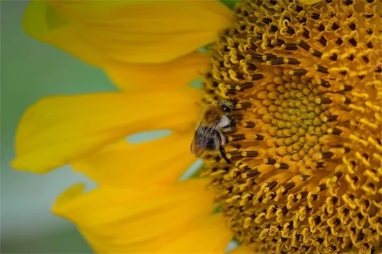 女人最适合的微信名字大全(优选122个)