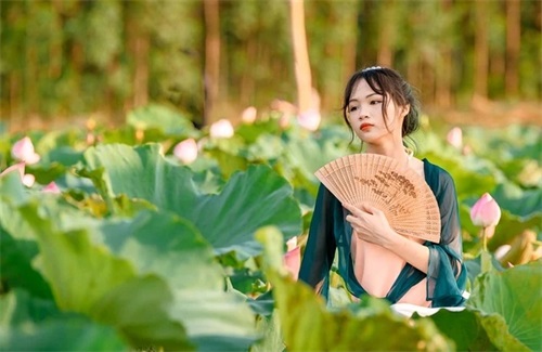 农业科技公司起名参考 最新好听的农业公司名字