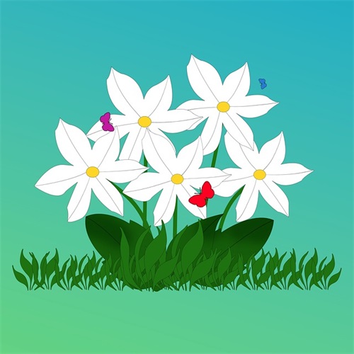 广告设计公司名称推荐 独特新公司名字大全