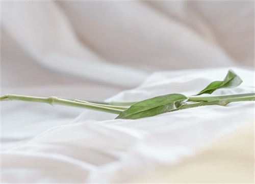 女生冷漠的昵称网名大全（既高傲又冷漠的昵称(精选600个)）