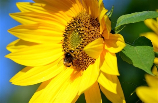 一眼就爱上的微信昵称(精选119个)