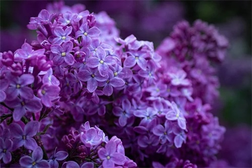 高端房产中介取名 吉利顺口新公司名字