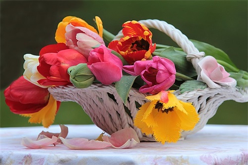 顺风顺水的公司名字免费 高雅又聚财的新公司名字