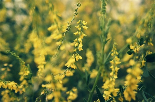 好听的艺术培训学校名字大全 大气学校名称优选