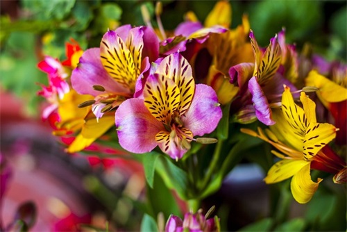 商贸有限公司名字好听 大气聚财贸易新公司名字