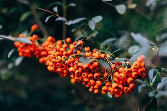 雅而不俗的微信名(共119个)