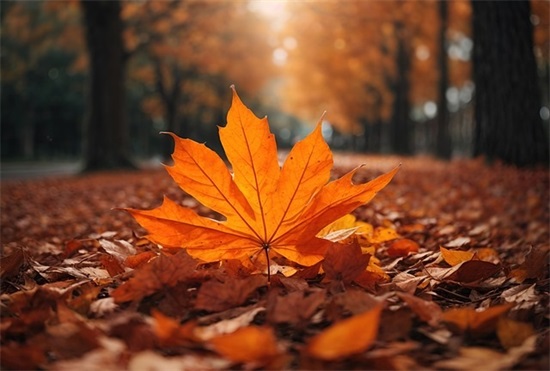 男人伤心绝望的微信名字(精选113个)