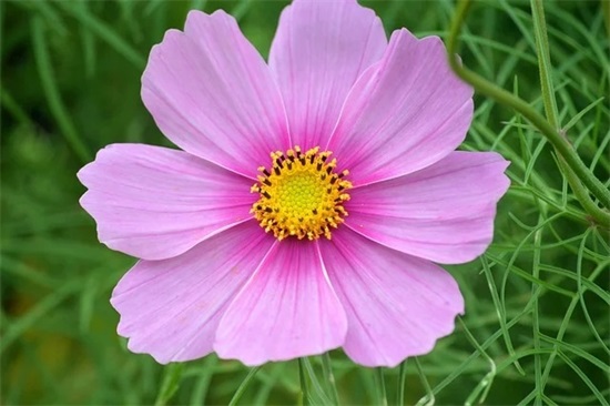 30一40岁女人微信名(124个)