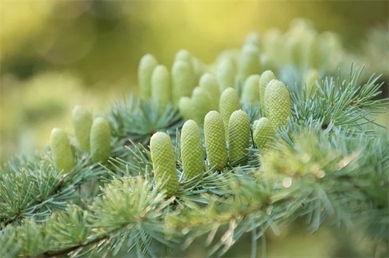 有内涵的男士微信昵称(精选117个)