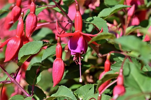 农业公司取名字大全 寓意洋气的农业公司名称