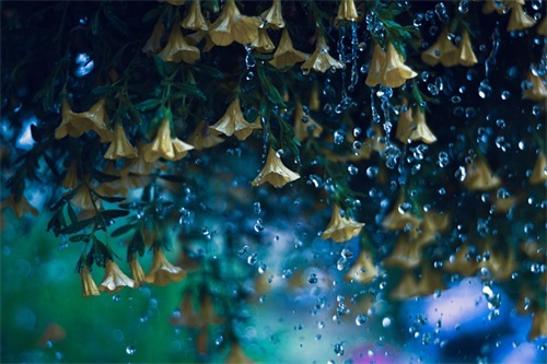 服装公司名字大全简洁大气 有创意的服装公司名称