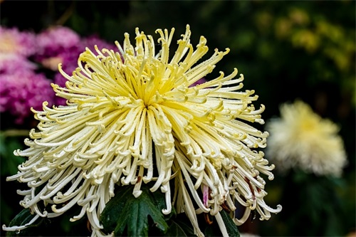 带火字旁的男孩名字大全