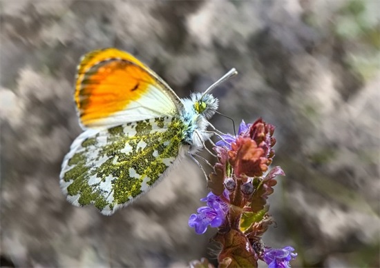 男生女生微信网名大全(113个)