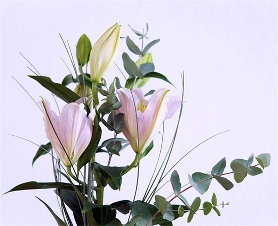 80后男网名微信昵称两个字(精选150个)